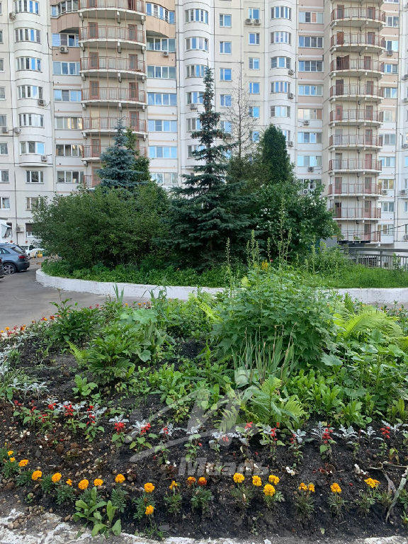 квартира г Москва ЮЗАО Зюзино ул Каховка 18к/1 фото 21