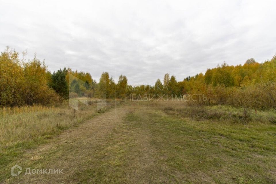 земля р-н Нижнетавдинский деревня Московка фото 5