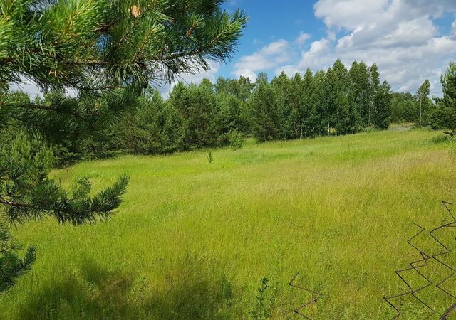 снт Зверовод ул Береговая Верх-Катунское фото