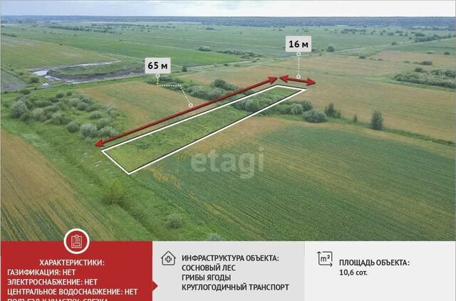 земля тер ДНТ Воскресенье 1 Каскара фото