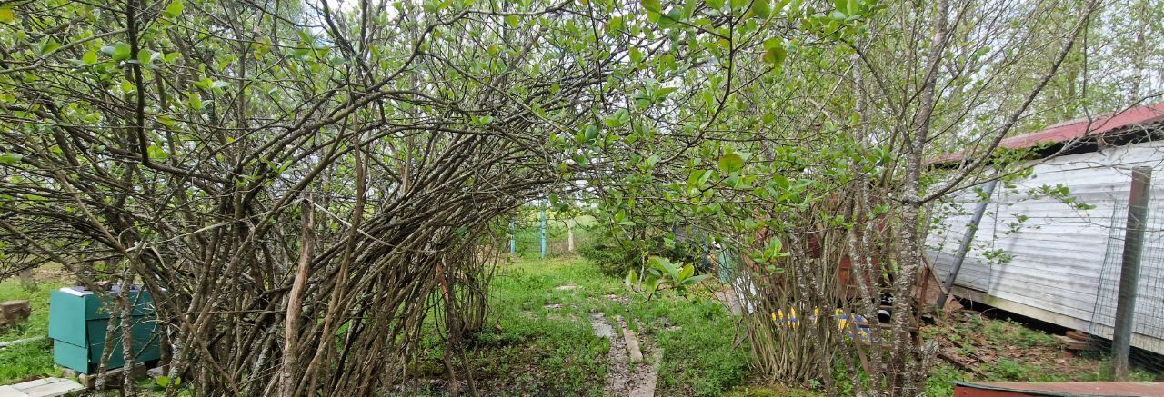 дом городской округ Рузский д Глухово снт Воронцово-1 фото 22