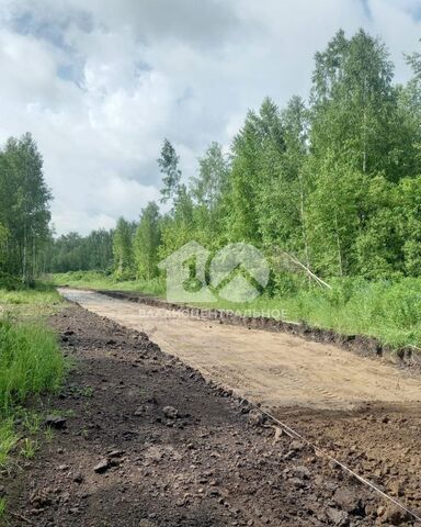 Станционный сельсовет, товарищество собственников недвижимости Облепиха, Рассветная ул, Сокур фото