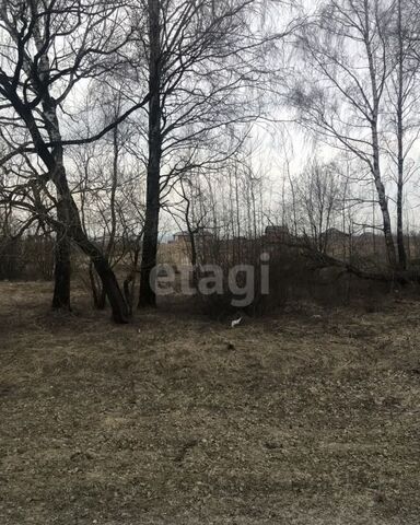 Отрадненское сельское поселение, Брянск фото