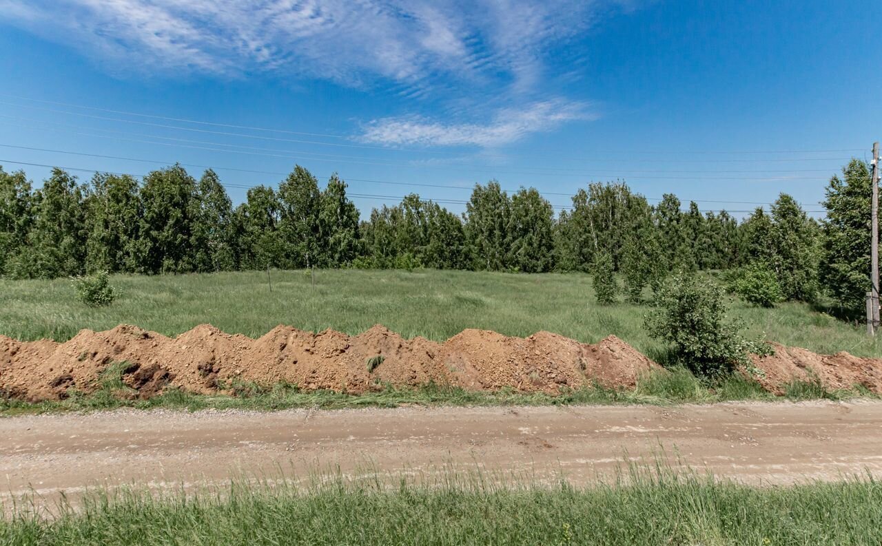 земля г Барнаул с Лебяжье п Бельмесево ул Рябиновая фото 2