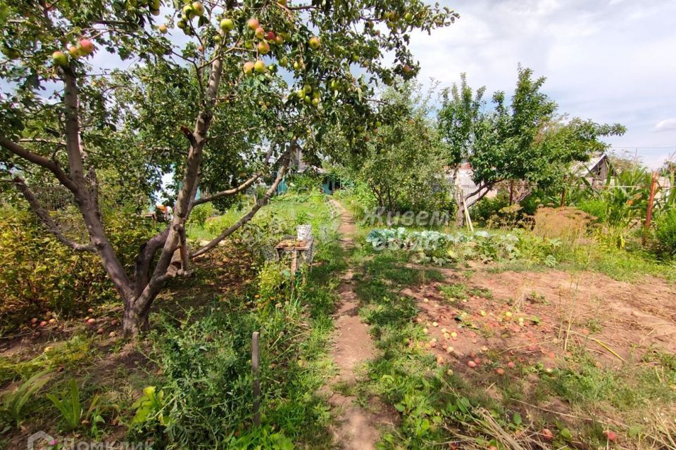 дом г Волжский сад СНТ Цветущий ул Ананасная городской округ Волжский, Сад фото 3