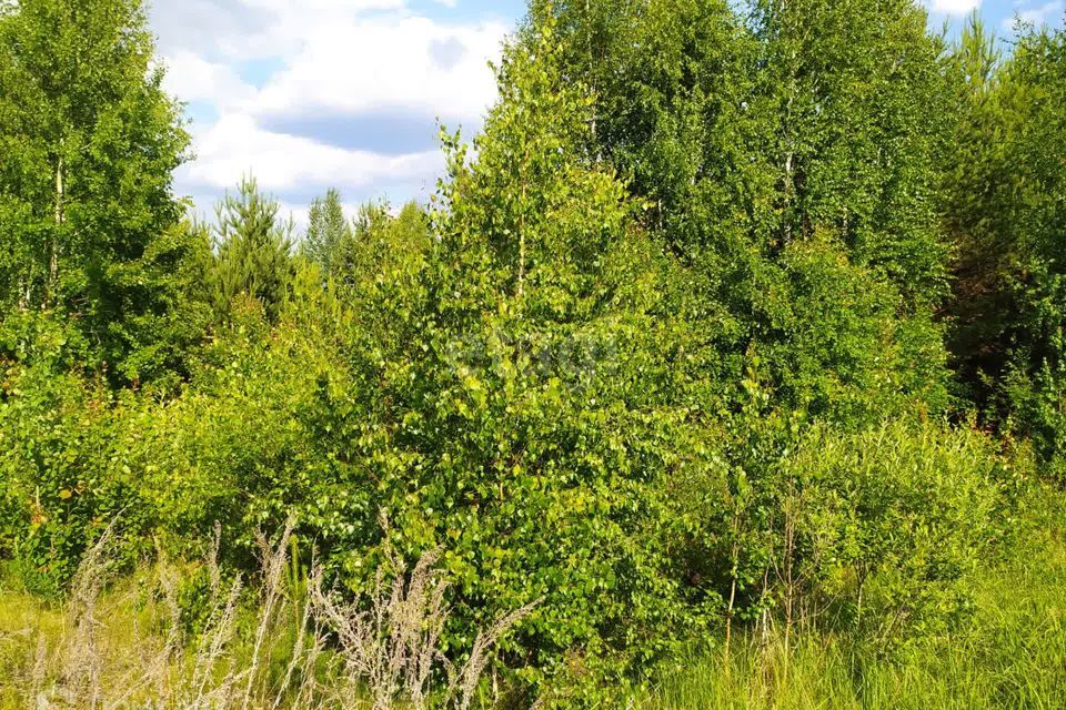 земля р-н Белоярский загородный комплекс Лайф, 4-я Парковая улица, 9 фото 3