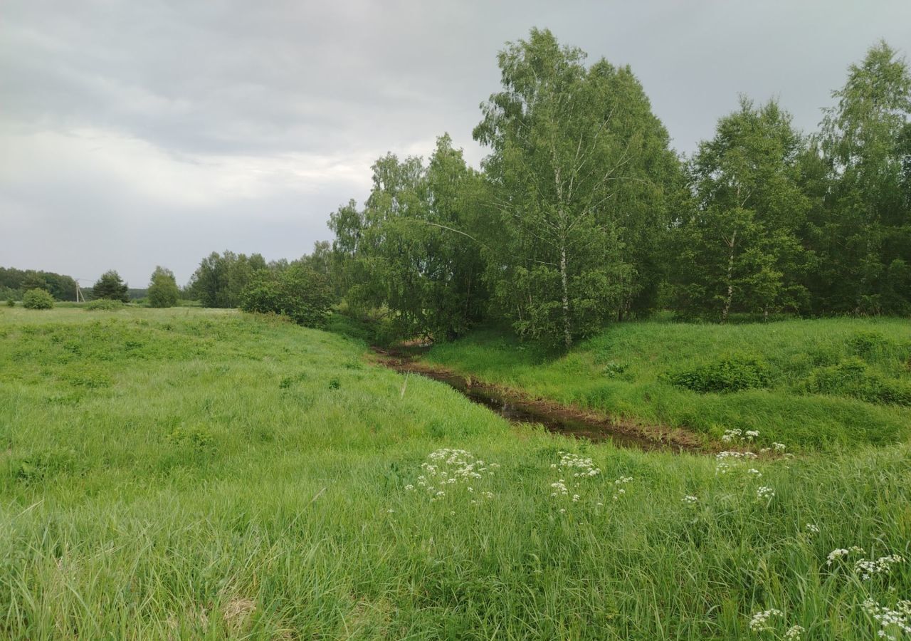 земля р-н Богородский г Богородск Дачный пос. Чешские сады фото 5