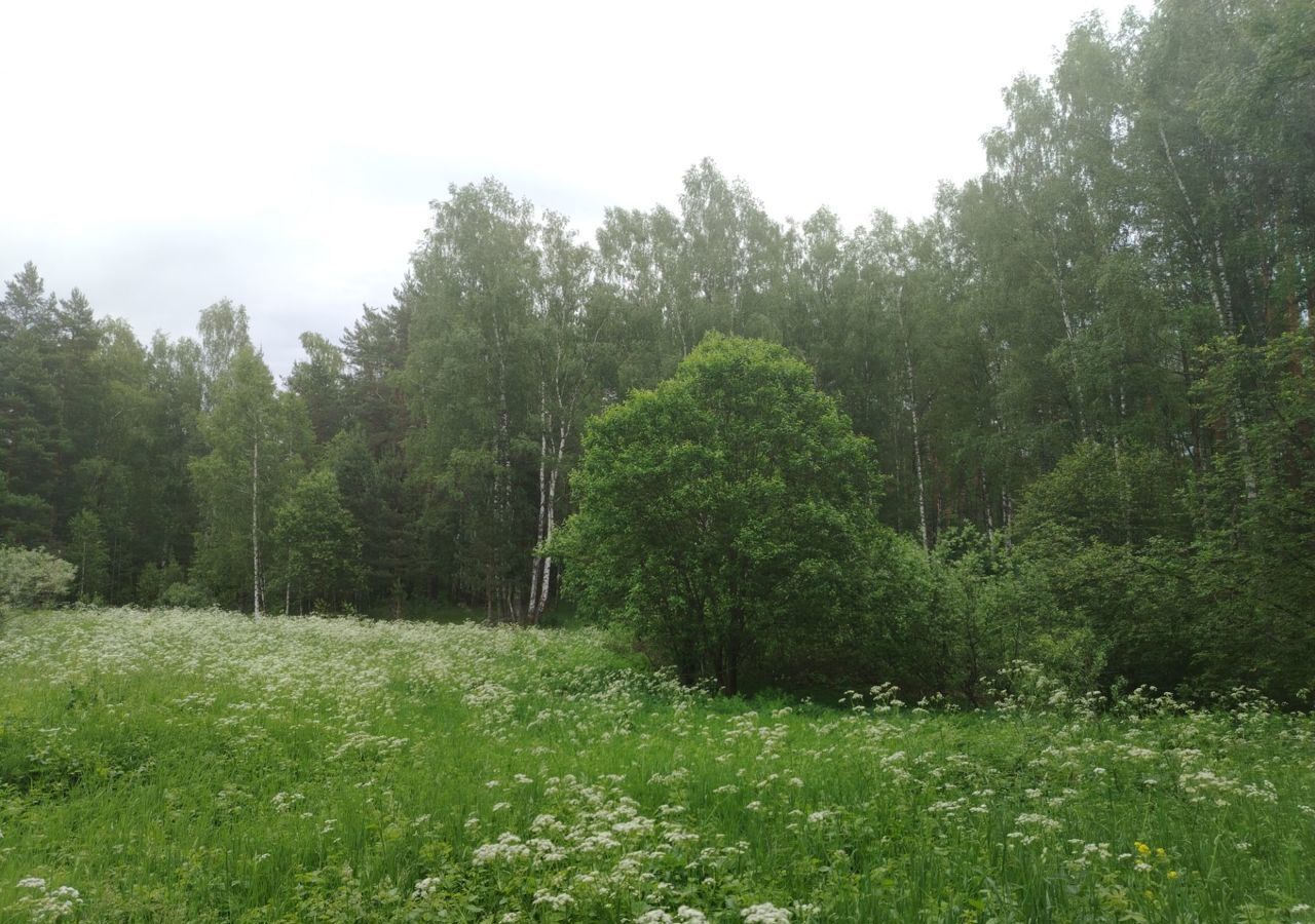 земля р-н Богородский г Богородск Дачный пос. Чешские сады фото 18