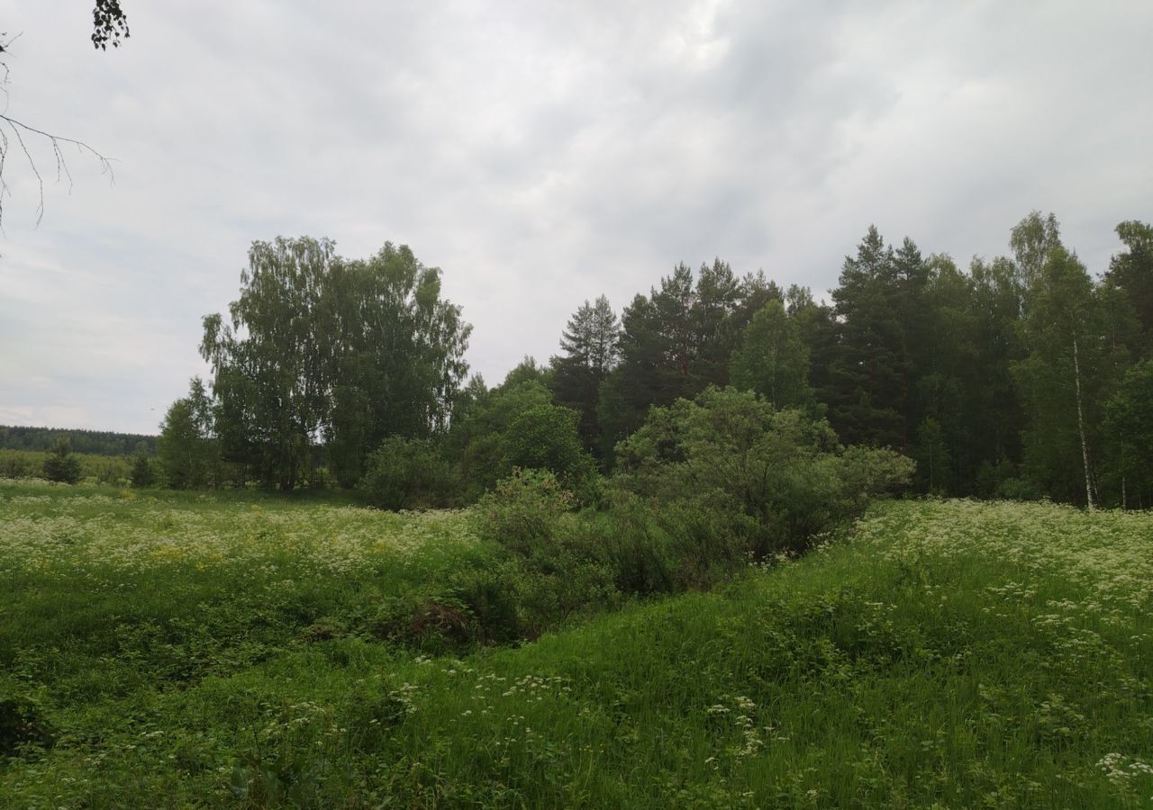 земля р-н Богородский г Богородск Дачный пос. Чешские сады фото 19