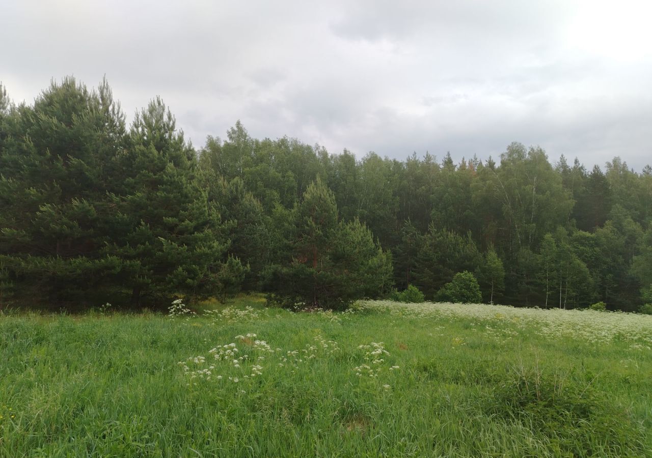 земля р-н Богородский г Богородск Дачный пос. Чешские сады фото 26