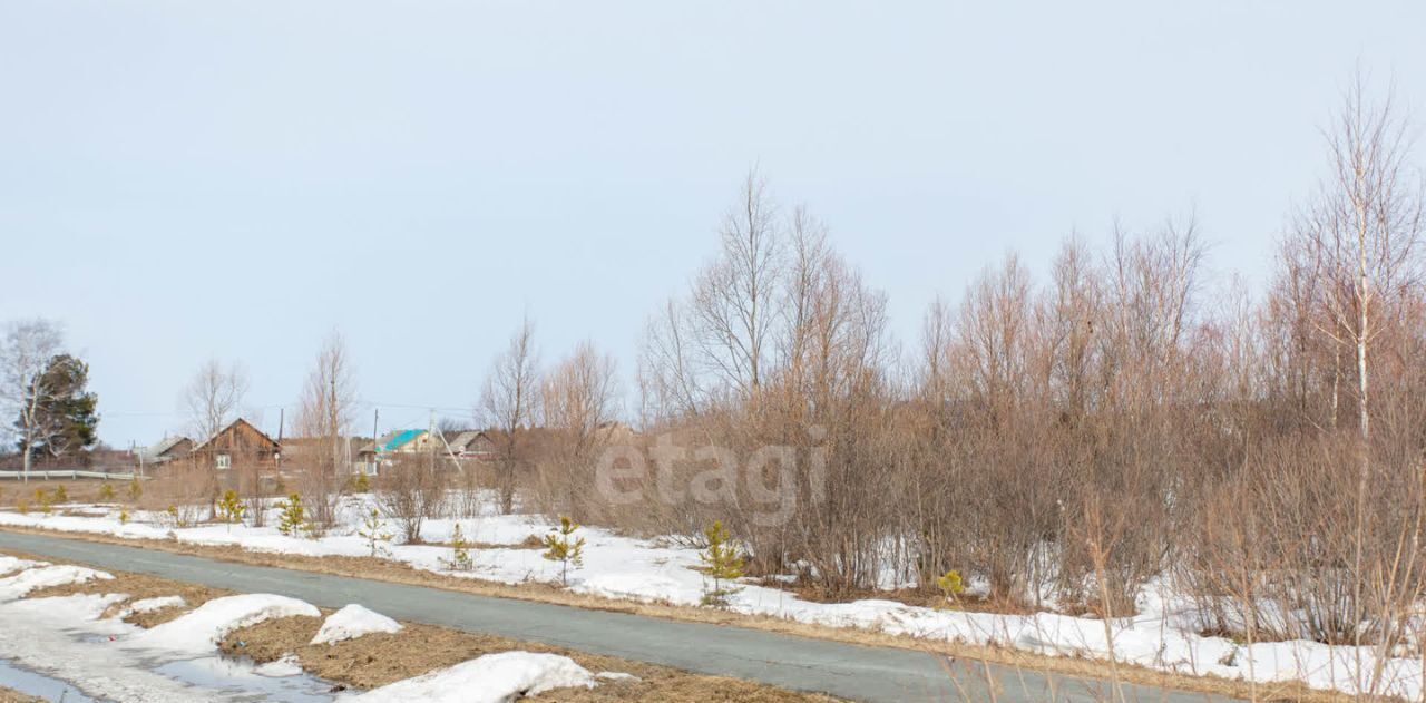 земля р-н Вагайский с Вагай ул Березовская 1-я фото 23