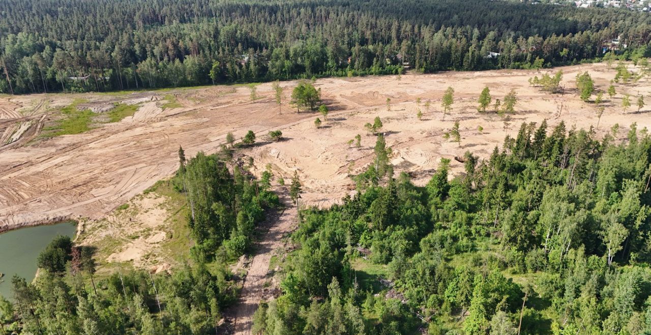 земля городской округ Богородский д Вишняково Электроугли фото 1