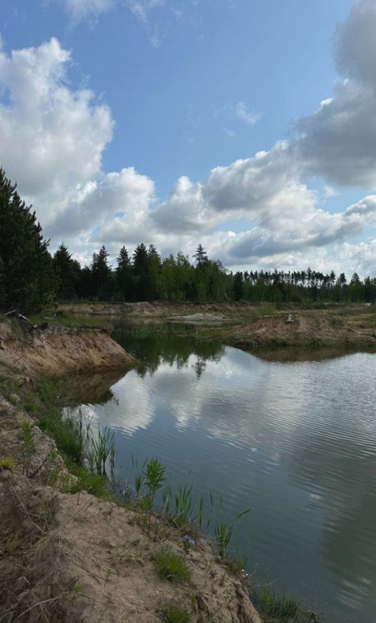 земля городской округ Богородский д Вишняково Электроугли фото 8