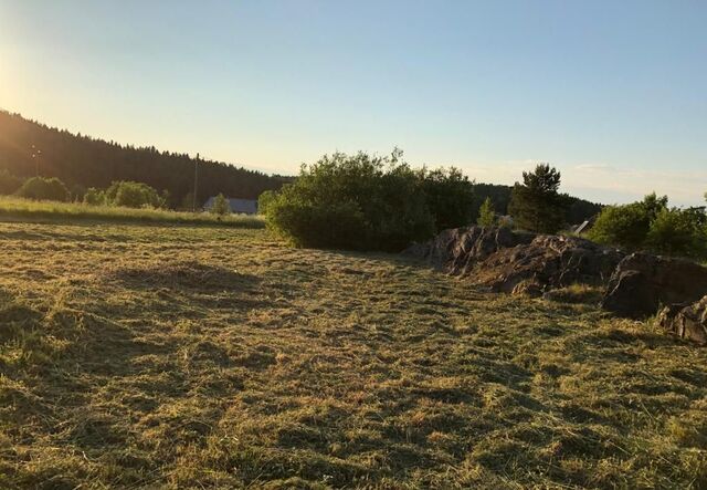 п Тарулинна Сортавальский р-н, Хаапалампинское сельское поселение фото