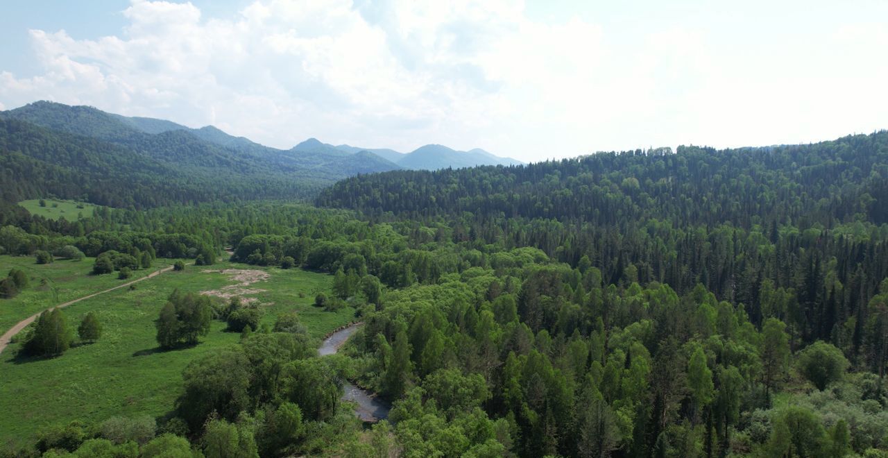 земля р-н Чойский с Кара-Торбок Горно-Алтайск фото 3