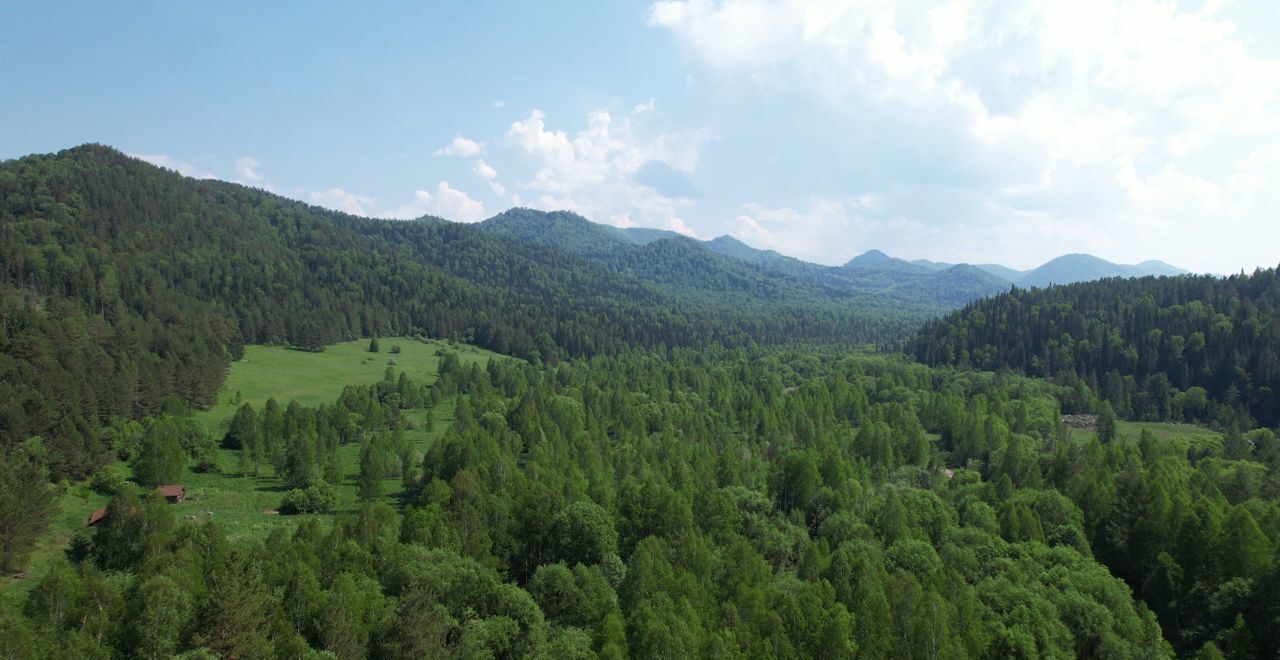 земля р-н Чойский с Кара-Торбок Горно-Алтайск фото 28