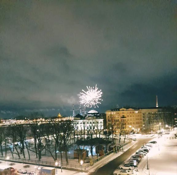 квартира г Санкт-Петербург метро Горьковская ул Мичуринская 1 округ Посадский, Петроградка фото 13