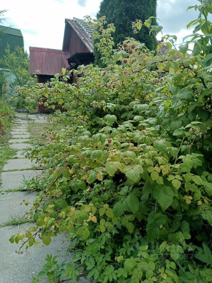 дом городской округ Пушкинский г Красноармейск Красноармейское шоссе фото 13