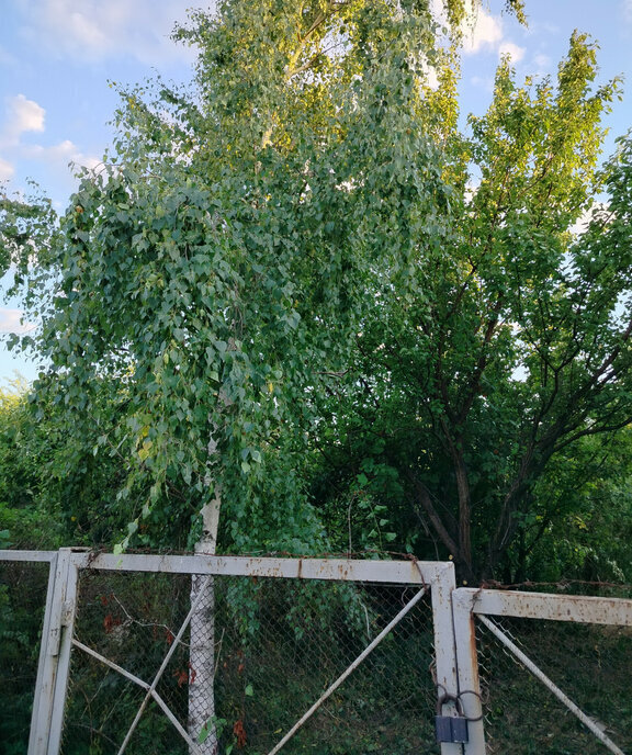 дом р-н Октябрьский х Яново-Грушевский Красюковское сельское поселение фото 6