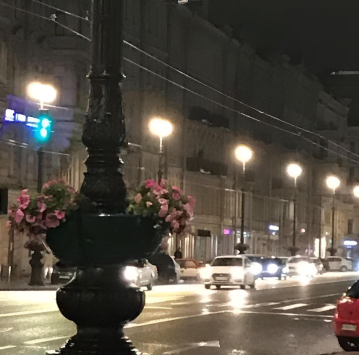 квартира г Санкт-Петербург метро Площадь Александра Невского пр-кт Невский 156 фото 29