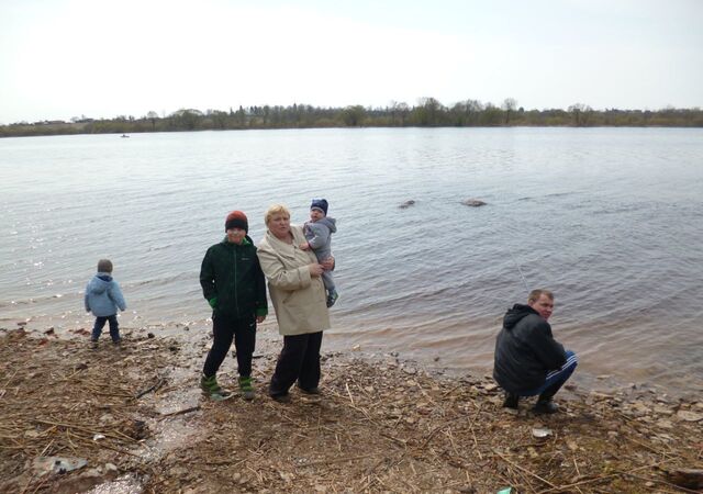 земля д Отрадное Пригородная волость, Новосокольники фото