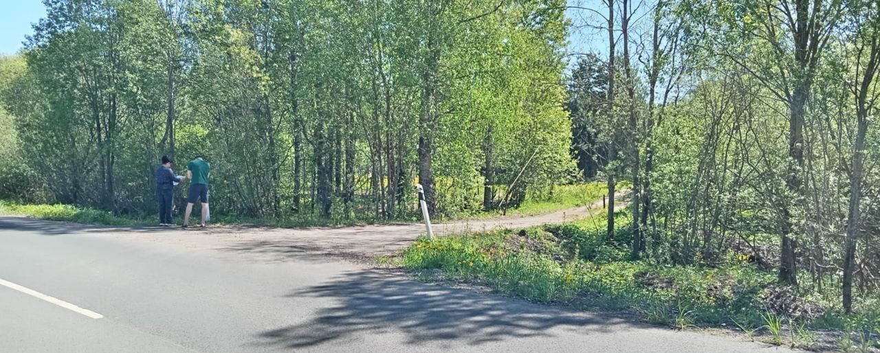 земля р-н Новгородский д Змейско Савинское сельское поселение, Великий Новгород фото 5