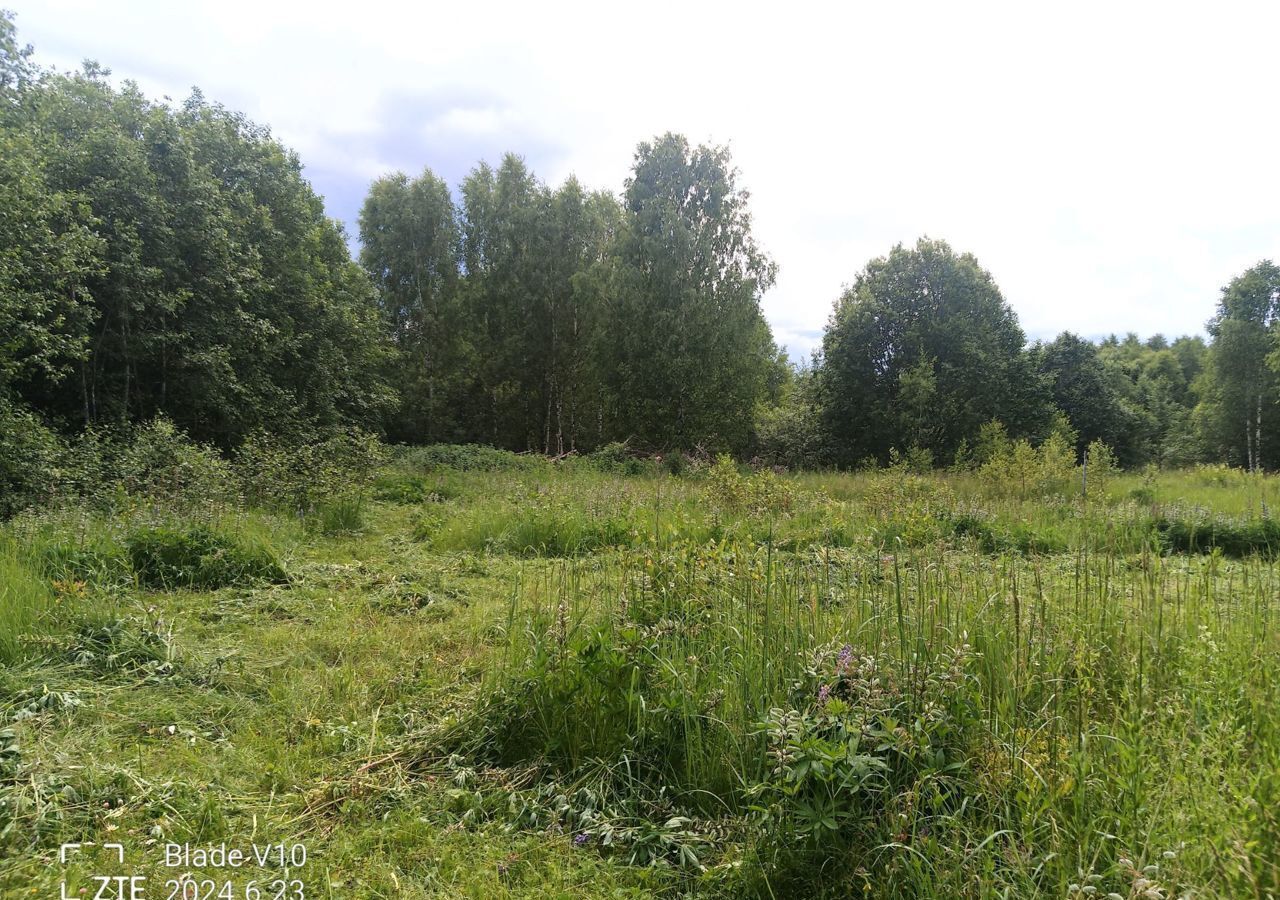 земля городской округ Можайский Руза, СНТ Лесное фото 6