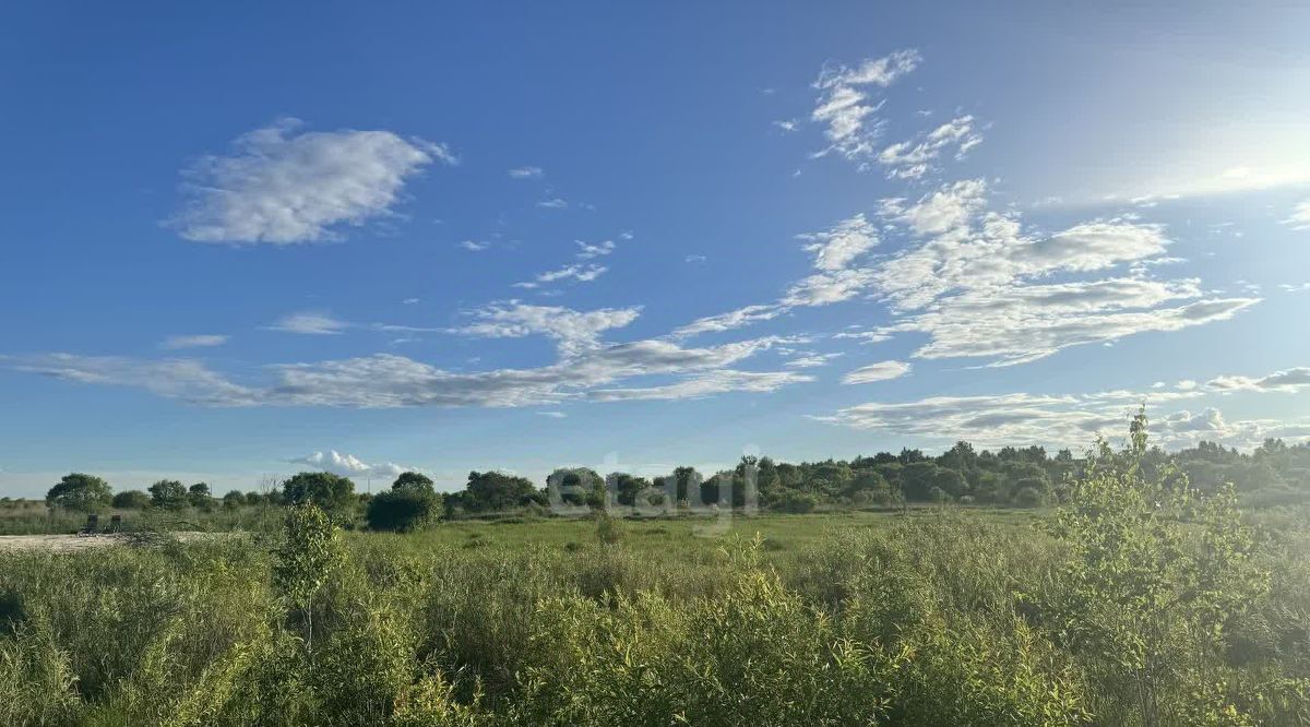 земля г Благовещенск фото 2