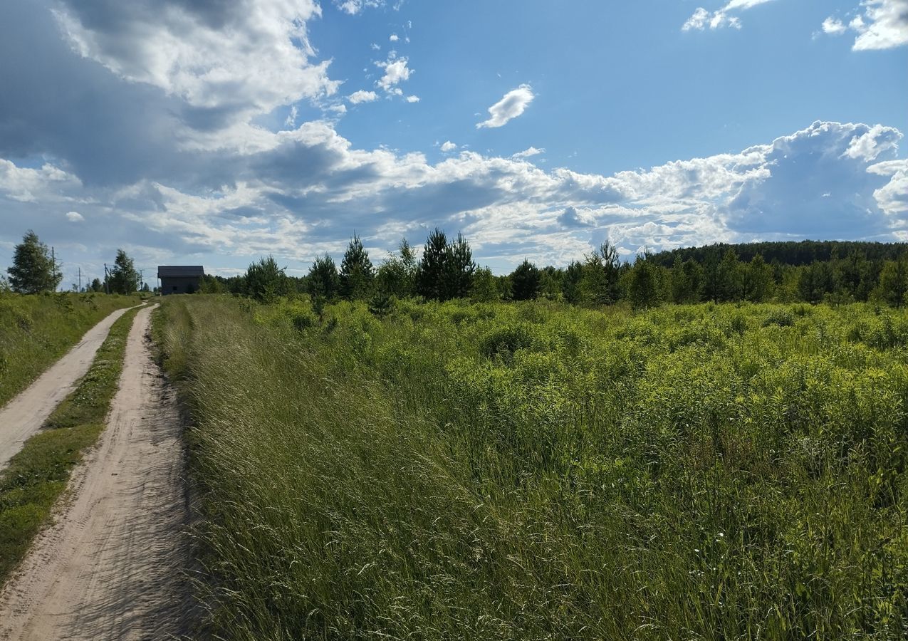 земля р-н Богородский д Демидово Богородск фото 3