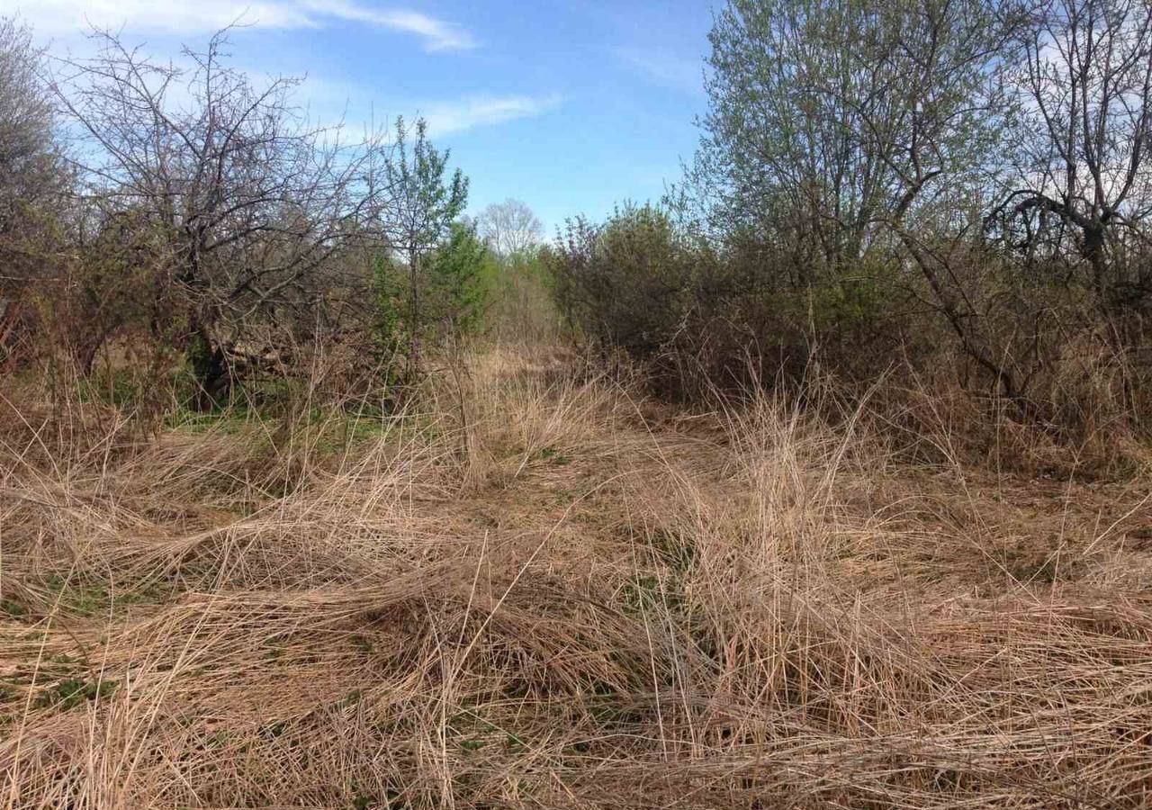 земля р-н Богородский д Карпово ул Слободская Буревестник фото 7