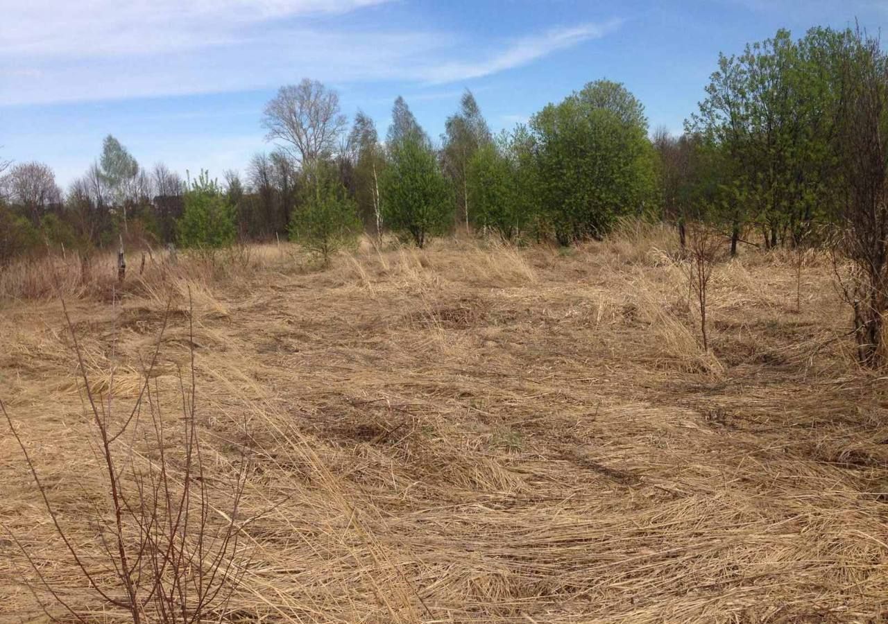 земля р-н Богородский д Карпово ул Слободская Буревестник фото 12