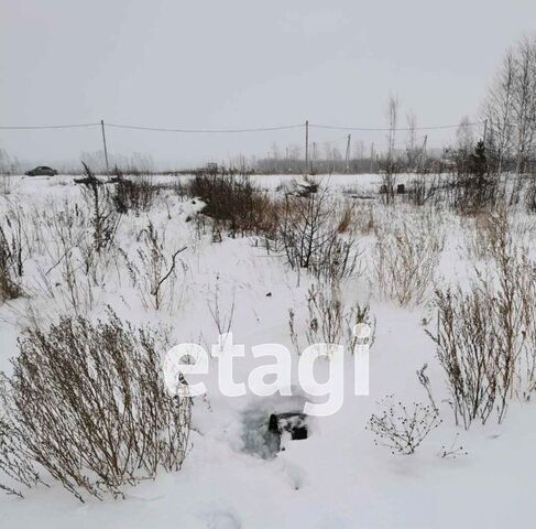 д Орловка ул Центральная фото