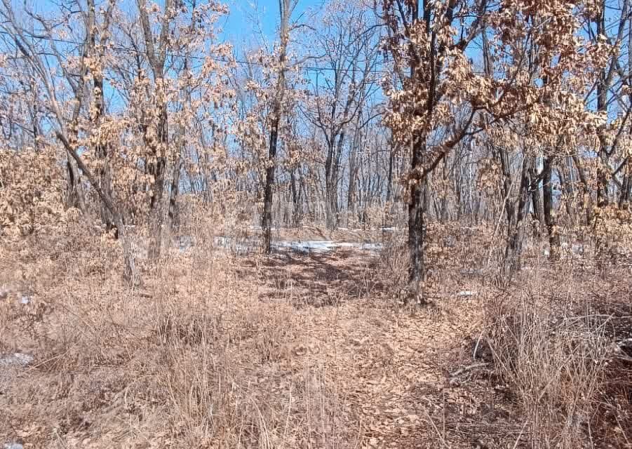 земля г Благовещенск ул Железнодорожная городской округ Благовещенск фото 3