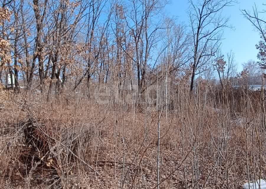 земля г Благовещенск ул Железнодорожная городской округ Благовещенск фото 4