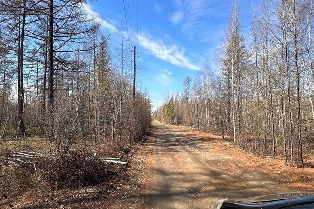 городской округ Якутск, Республика Саха Якутия, садово-огородническое товарищество Нива фото