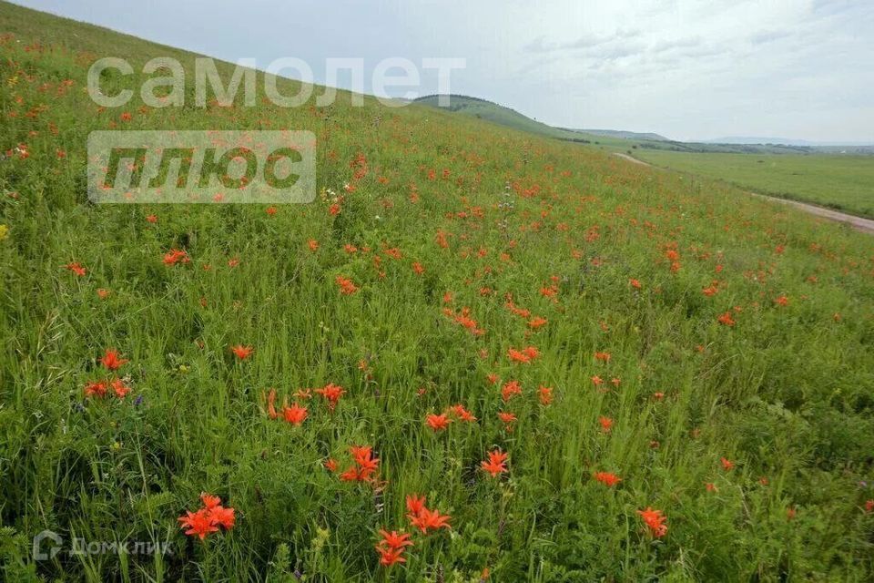 земля г Чита р-н Черновский городской округ Чита, ДНТ Кенон фото 1