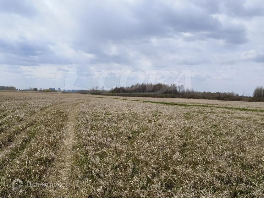 земля г Тюмень пл Центральная городской округ Тюмень фото 1