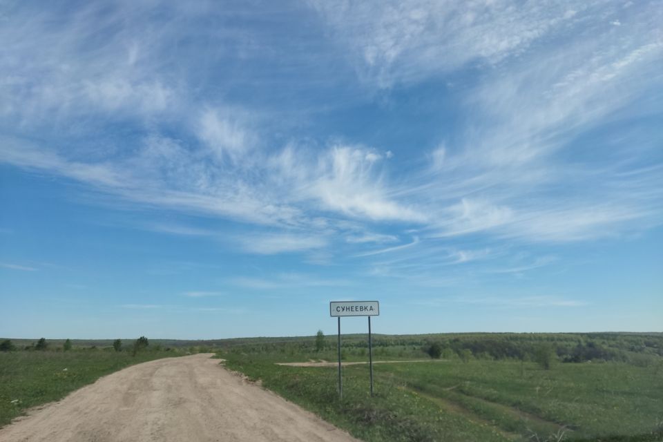 земля р-н Благовещенский деревня Сунеевка фото 3