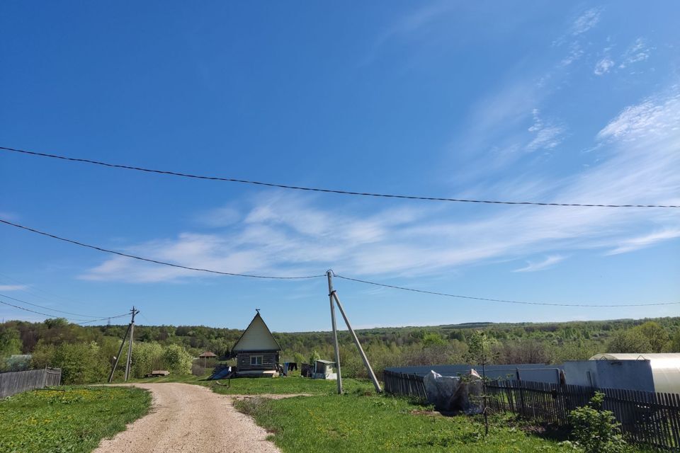 земля р-н Благовещенский деревня Сунеевка фото 2