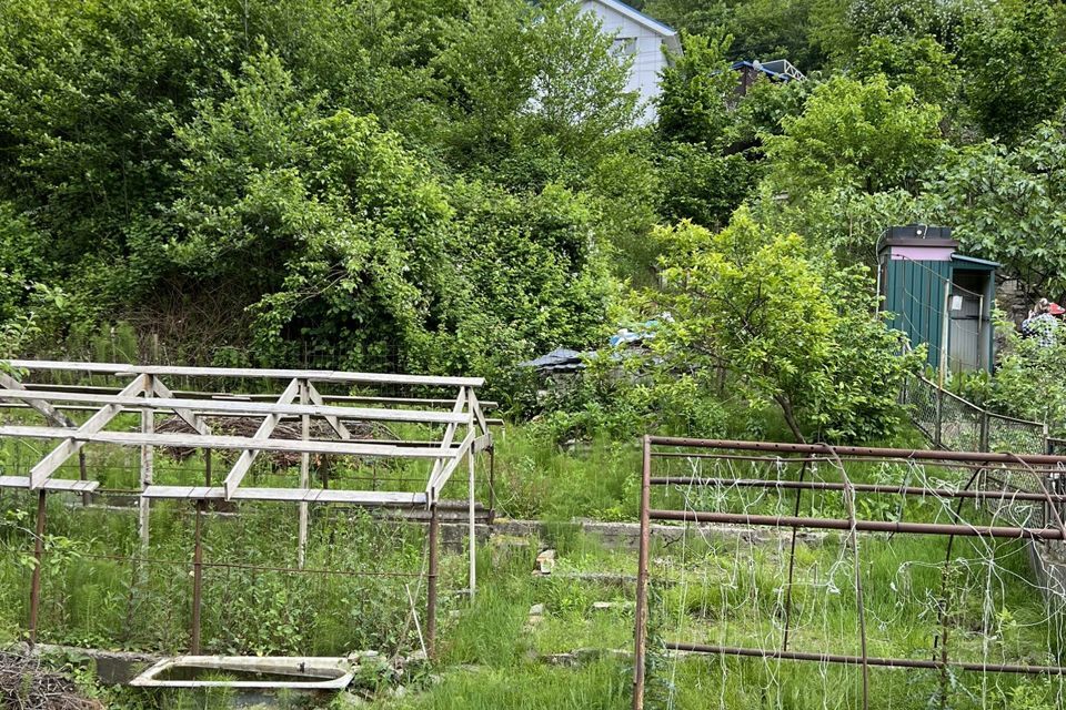 земля г Сочи с Пластунка городской округ Сочи, садоводческое товарищество Заря-6 фото 4