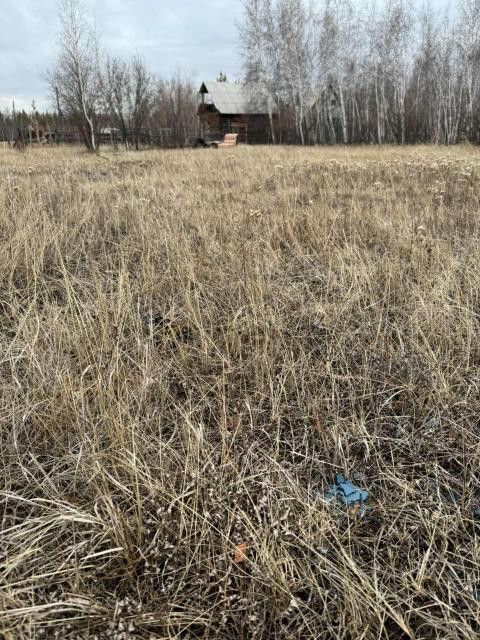 земля г Якутск городской округ Якутск, садово-огородническое товарищество Стерх-1 фото 2