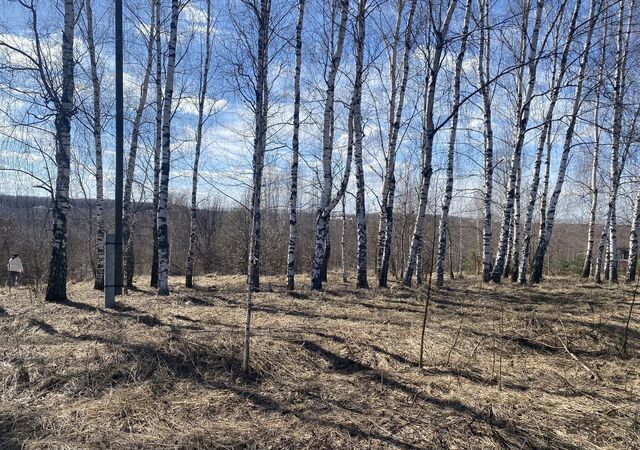 земля Богородск фото