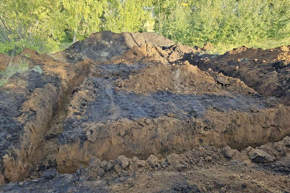 земля р-н Сосновский Вознесенское сельское поселение фото 2