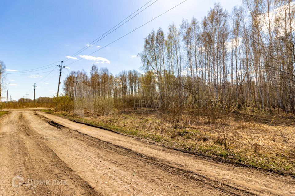 земля р-н Тюменский Горьковское муниципальное образование фото 4