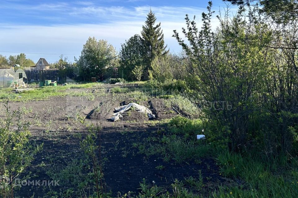 земля г Тюмень снт Царево ул Ромашковая городской округ Тюмень фото 2