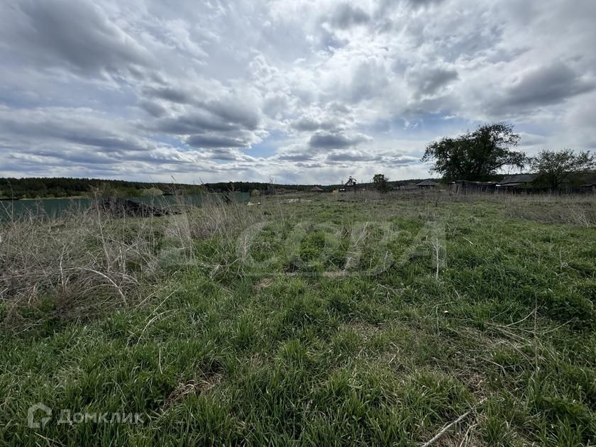 земля р-н Тюменский село Борки фото 3