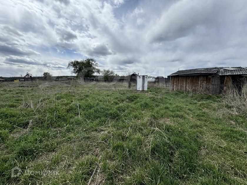 земля р-н Тюменский село Борки фото 2