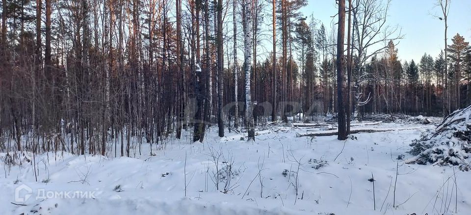 земля р-н Нижнетавдинский село Тюнево фото 2