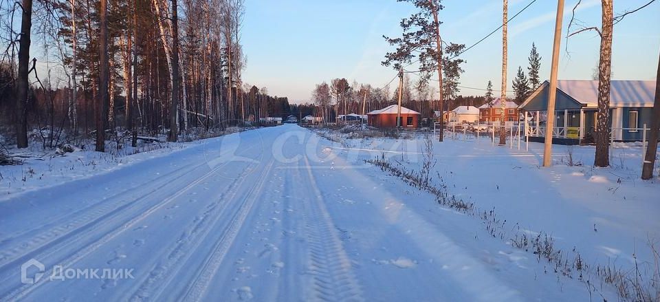 земля р-н Нижнетавдинский село Тюнево фото 3