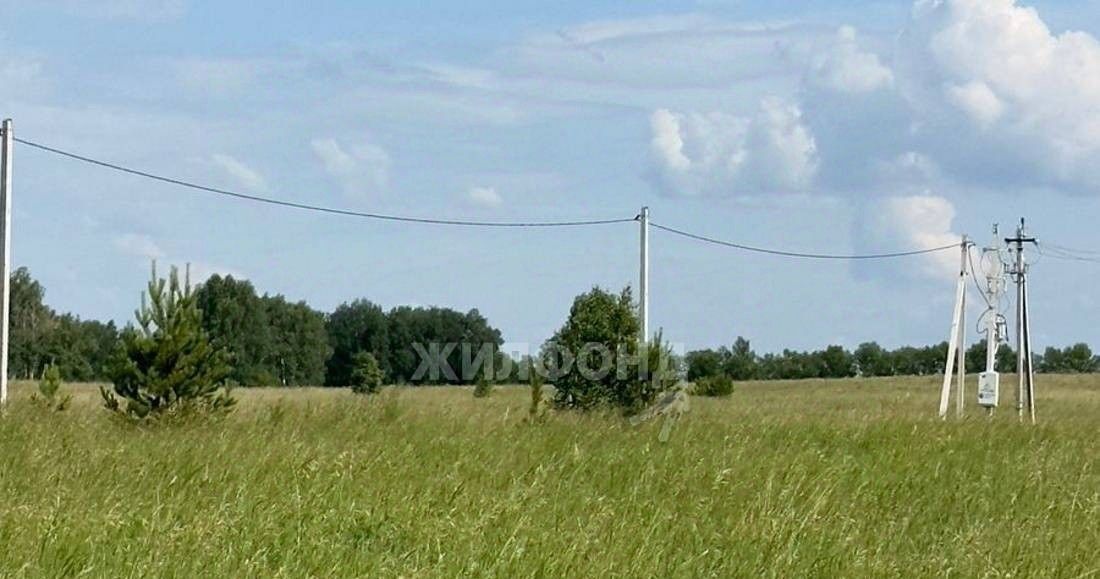 земля р-н Первомайский с Фирсово ул. Кедровая фото 1